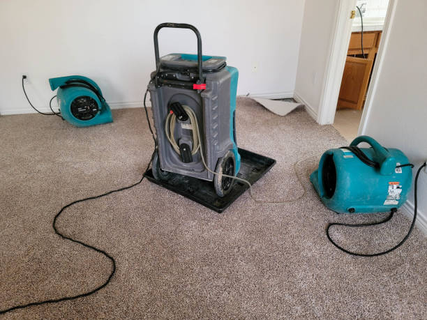 Best Flood restoration services  in Orangeville, UT