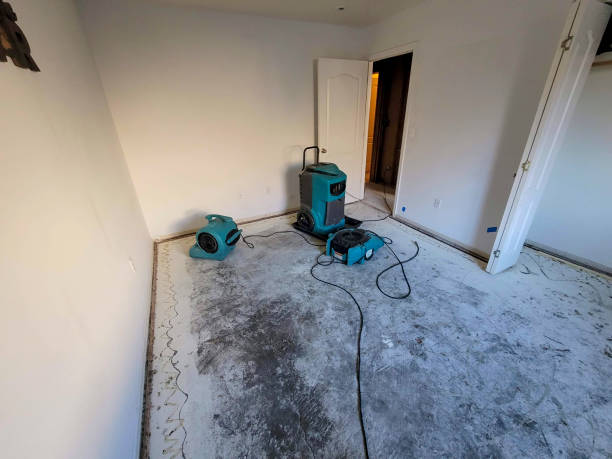 Best Commercial water damage restoration  in Orangeville, UT