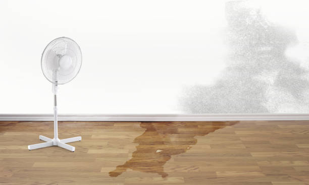 Best Local water damage restoration  in Orangeville, UT