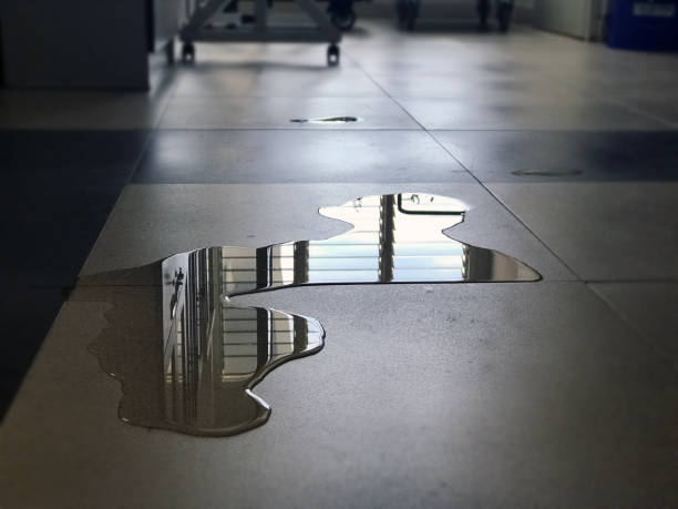 Best Water damage restoration company  in Orangeville, UT