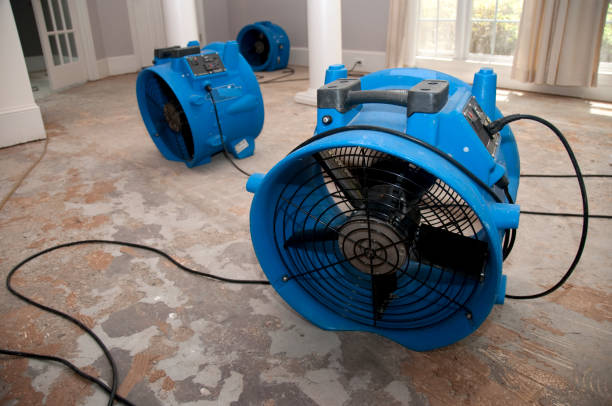Best Ceiling water damage repair  in Orangeville, UT