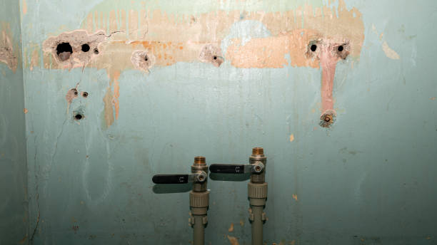 Best 24/7 water damage repair  in Orangeville, UT