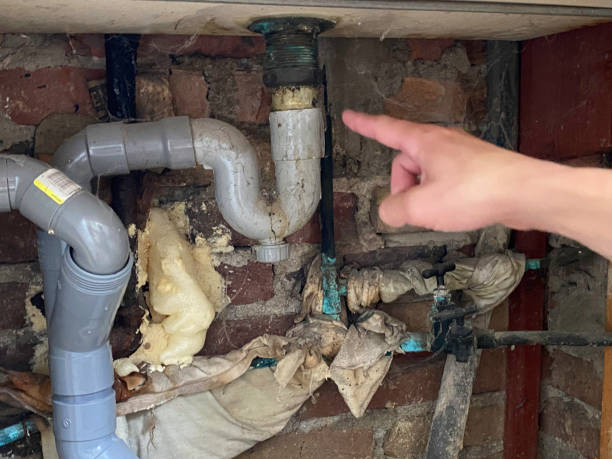 Best Water damage cleanup near me  in Orangeville, UT
